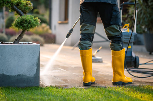 Best Pressure Washing Driveway  in Rosemead, CA